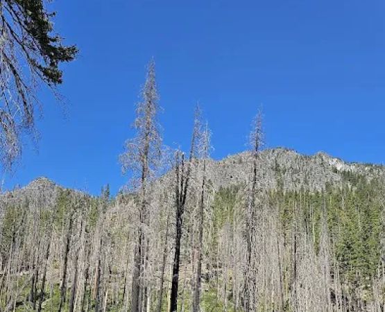 Cottonwood Campground - Entiat Ranger District