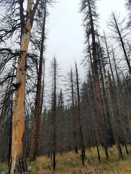 Cottonwood Campground - Entiat Ranger District 7