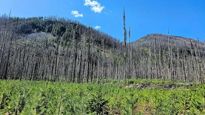 Cottonwood Campground - Entiat Ranger District 5