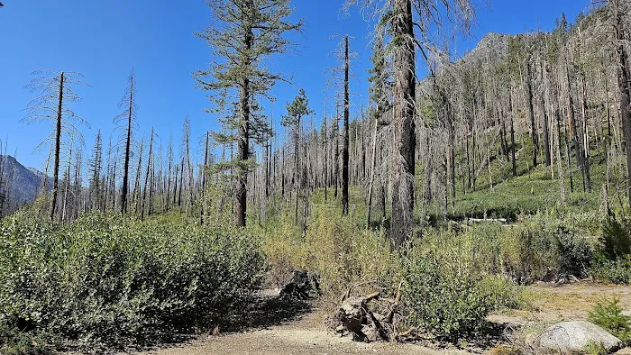 Cottonwood Campground - Entiat Ranger District 9