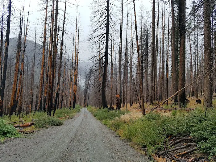 Cottonwood Campground - Entiat Ranger District 8