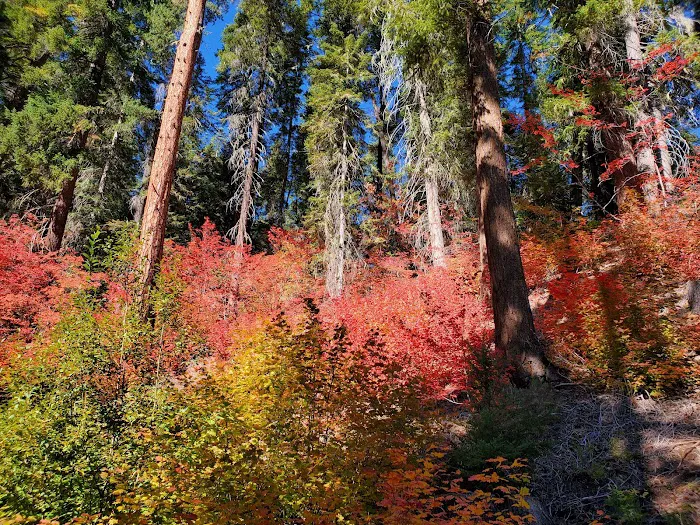 Meadow Creek Campground 3