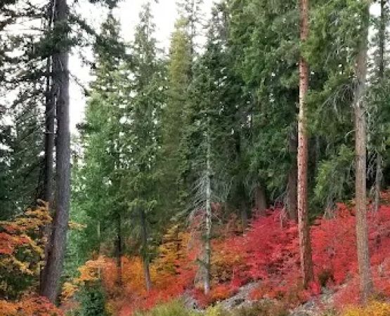 Meadow Creek Campground