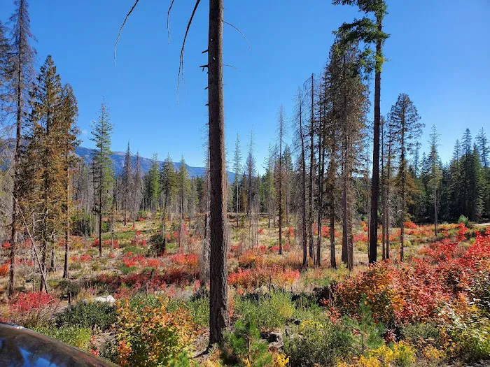 Meadow Creek Campground 8