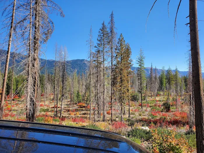 Meadow Creek Campground 7