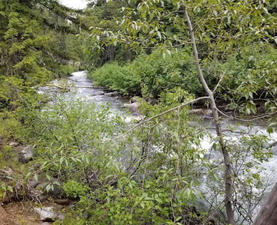 French Creek Campground