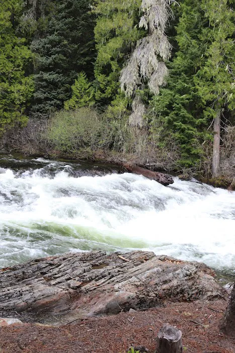 French Creek Campground 1