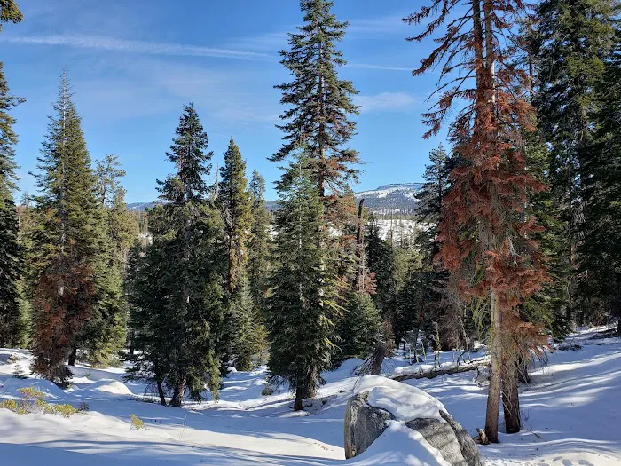 Big Meadow Winter Trailhead (recgovnpsdata) 4