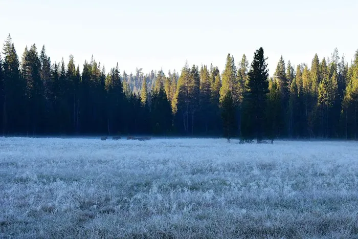 Big Meadow Winter Trailhead (recgovnpsdata) 3