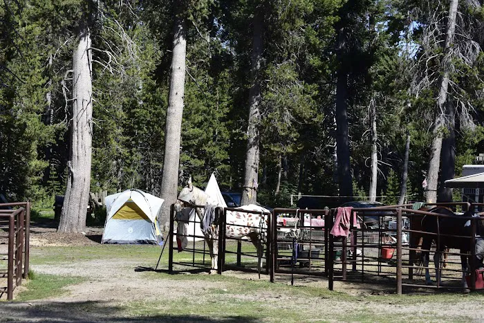 Horse Camp Campground 7