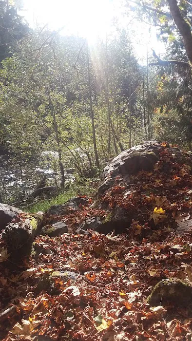 Dick Sperry Campground 8