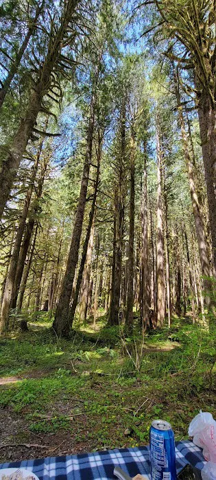 Deer Creek Campground 6