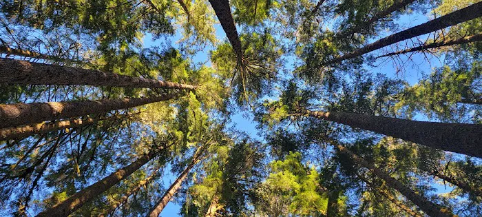 Deer Creek Campground 8
