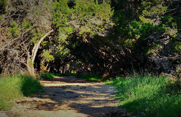 Campsite #028 3