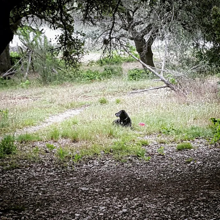 Cedar Hollow Camp 6