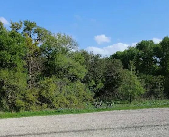 Youth Group Campsite