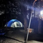 Big Oak Campsite 26 at McKinney Falls State Park