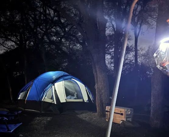 Big Oak Campsite 26 at McKinney Falls State Park