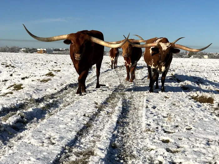 Longhorn RV Resort & Storage 7