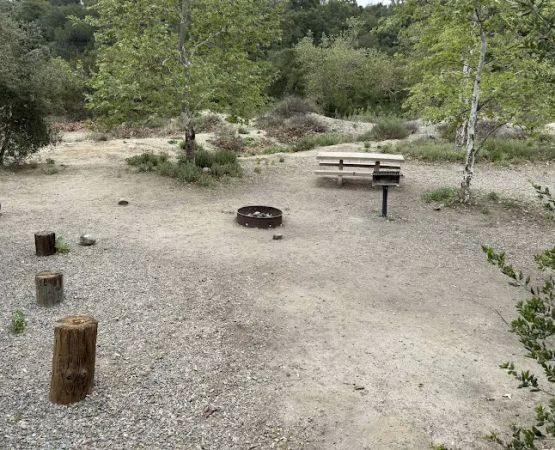 Campsite #59