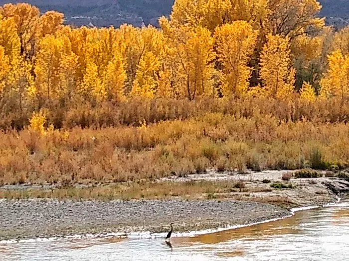 Grand Mesa 3