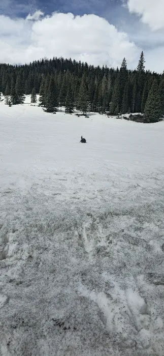 Grand Mesa 5