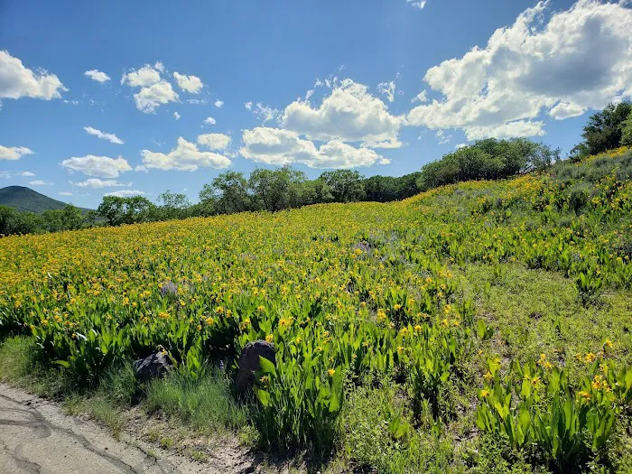 Oak Point Campground 8
