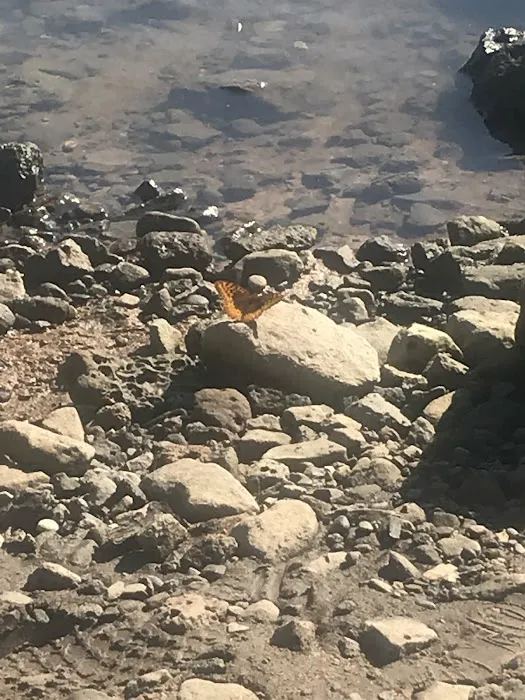 Oak Point Campground 7