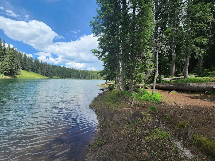 Weir and Johnson Campground 2