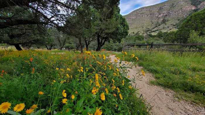 Dog Canyon Campground 6