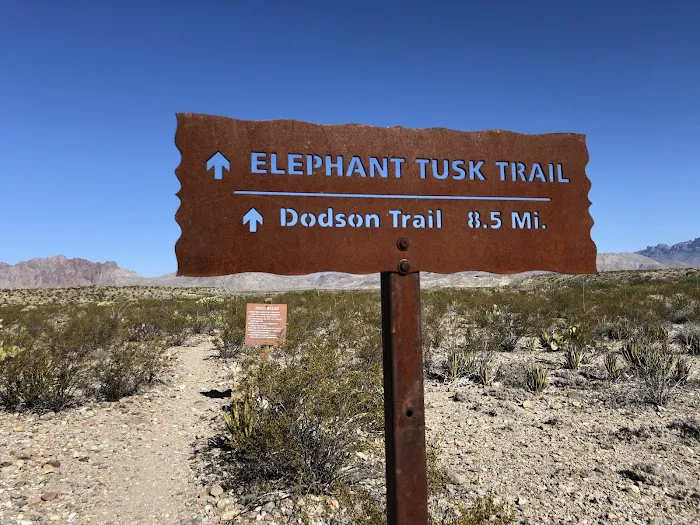 Elephant Tusk 4
