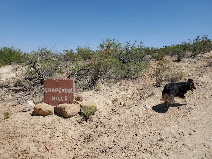 Grapevine Hills 3 4