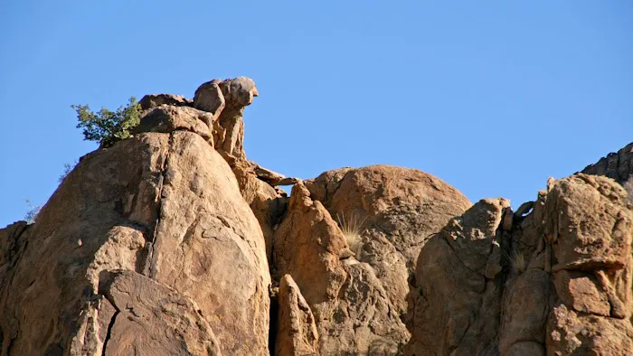 Grapevine Hills 3 1