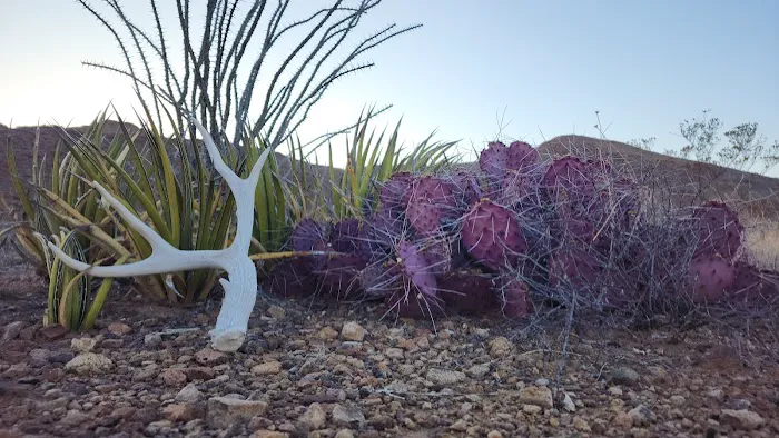 Grapevine Hills 4 0
