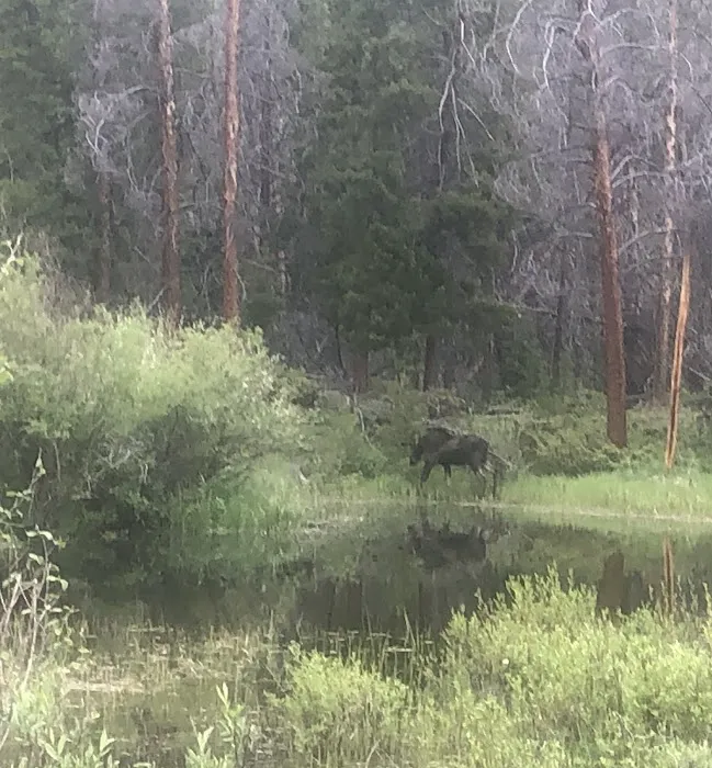 Arapaho Bay Moraine Campground 6