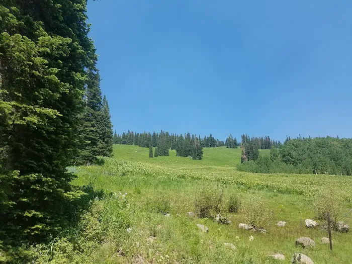 Sheriff Reservoir Campground 8
