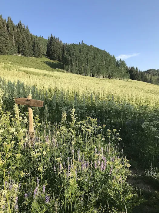 Sheriff Reservoir Campground 6