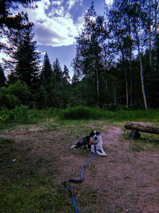 Snowblind Campground 4