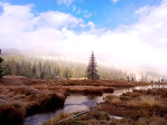 Monarch Park Campground 8