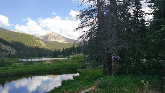 Monarch Park Campground 2