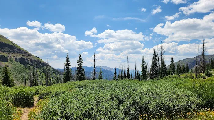Williams Creek Trailhead 3