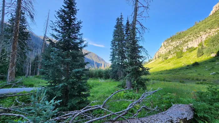 Williams Creek Trailhead 0