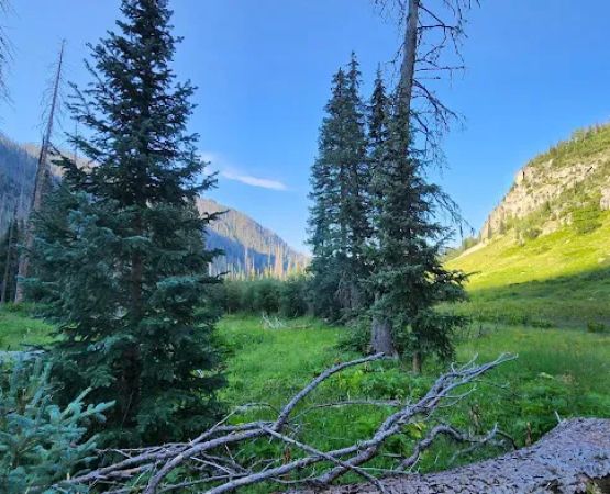 Williams Creek Trailhead