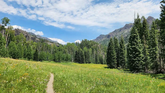 Williams Creek Trailhead 2