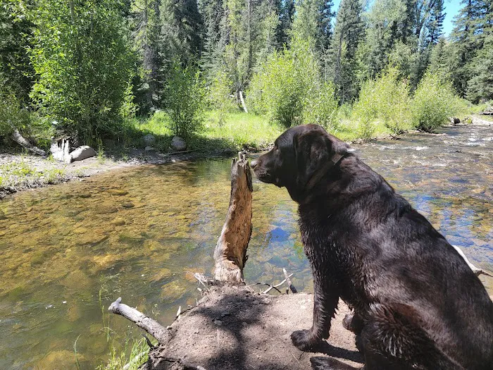 Palisades Horse Campground 7