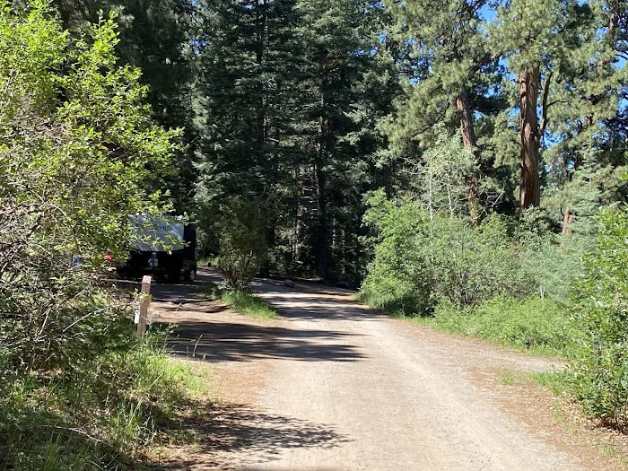 Graham Creek Campground 4