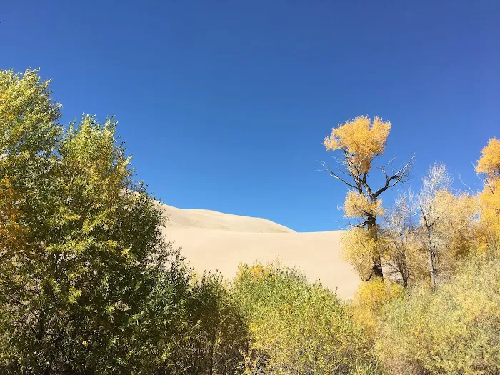 Escape Dunes 8