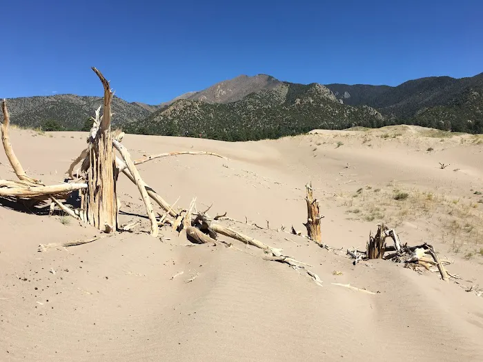 Escape Dunes 3