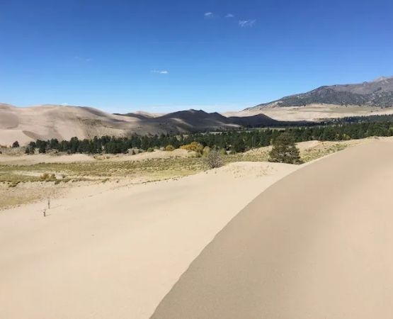 Escape Dunes