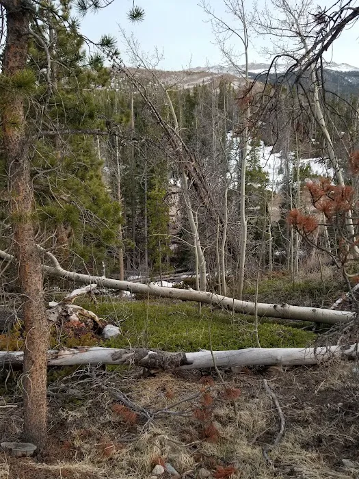 Tom Bennett Campground 9